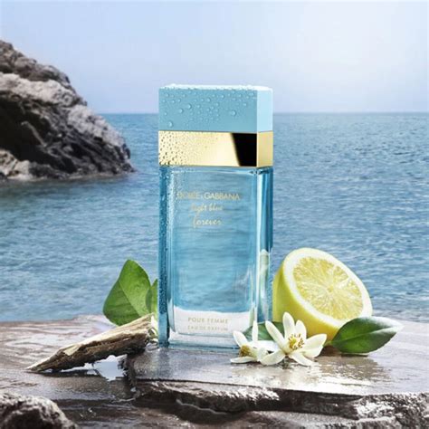 dolce gabbana light blue forever notes